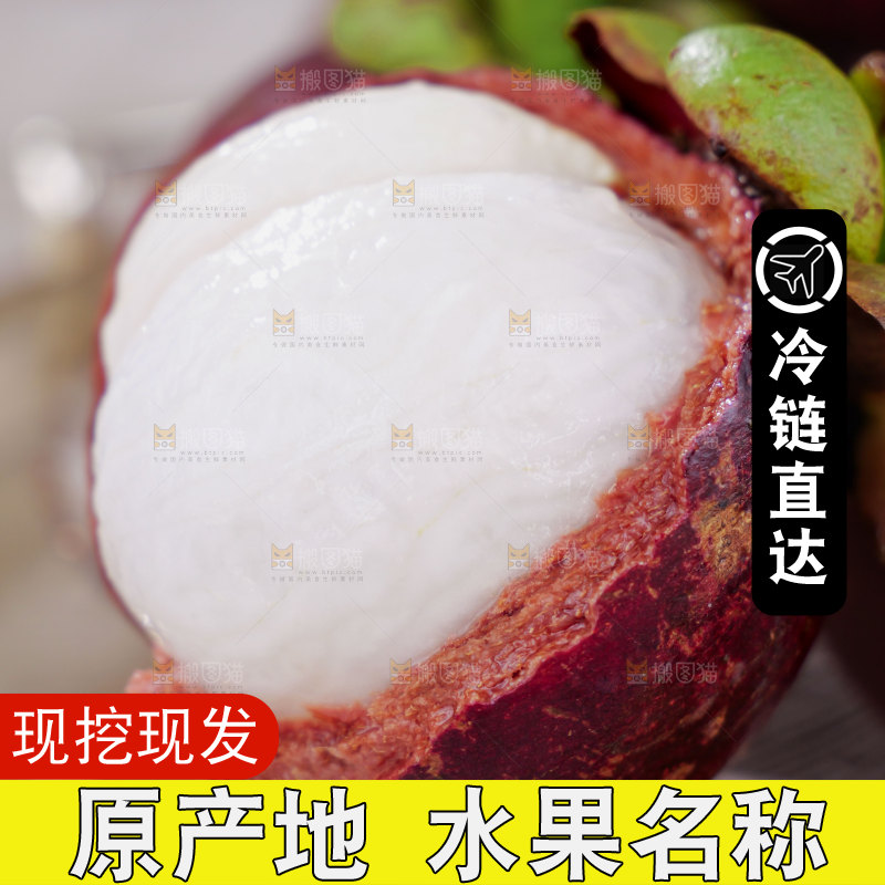 山竹