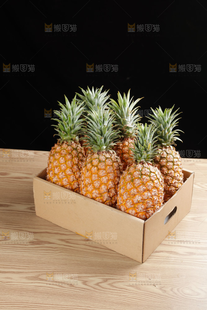 金钻凤梨