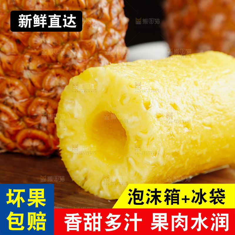 金钻凤梨