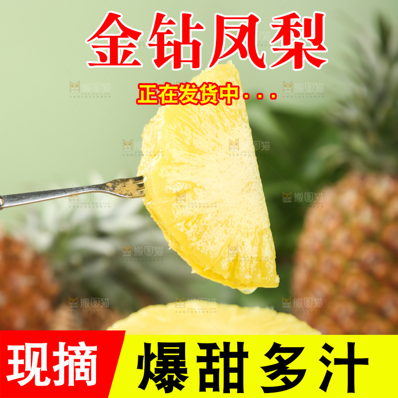 金钻凤梨