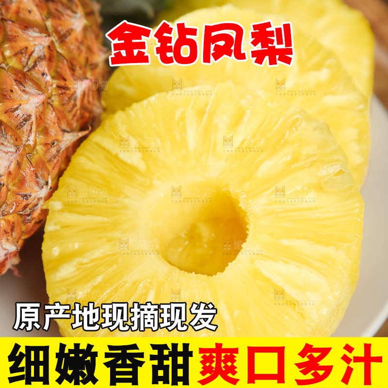 金钻凤梨