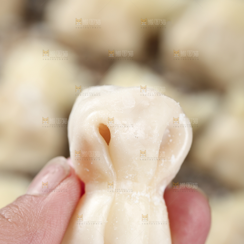 小金鱼馄饨