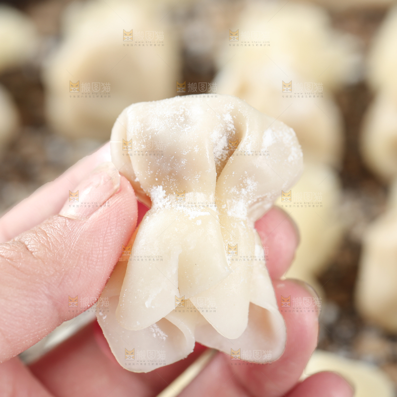 小金鱼馄饨