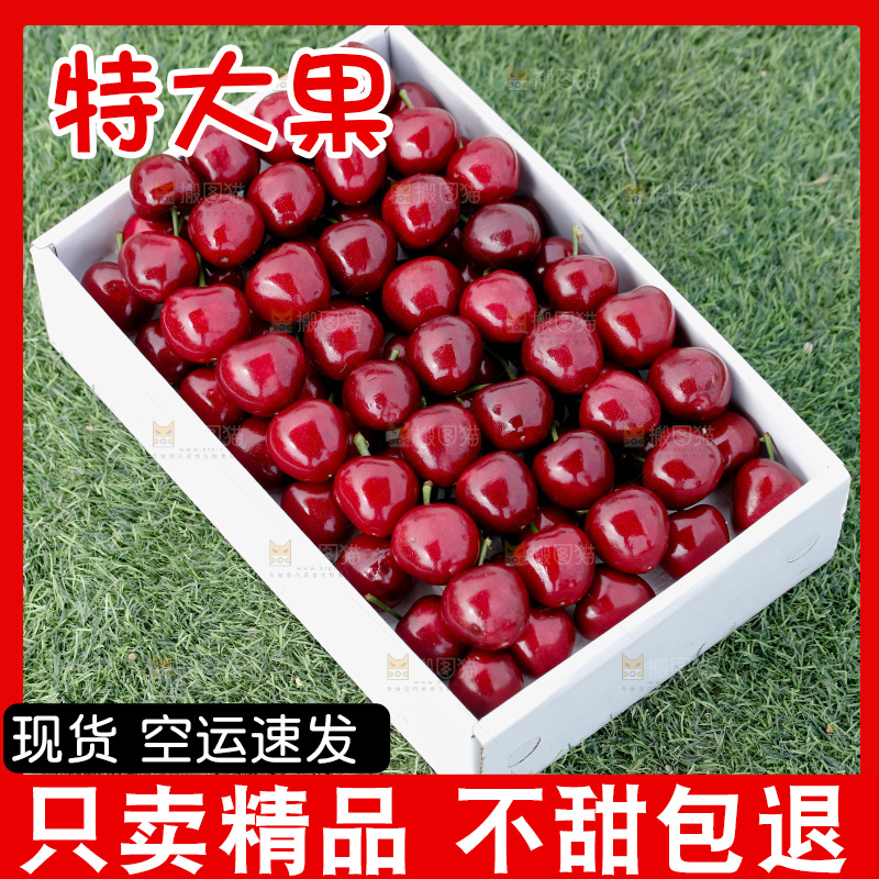大樱桃