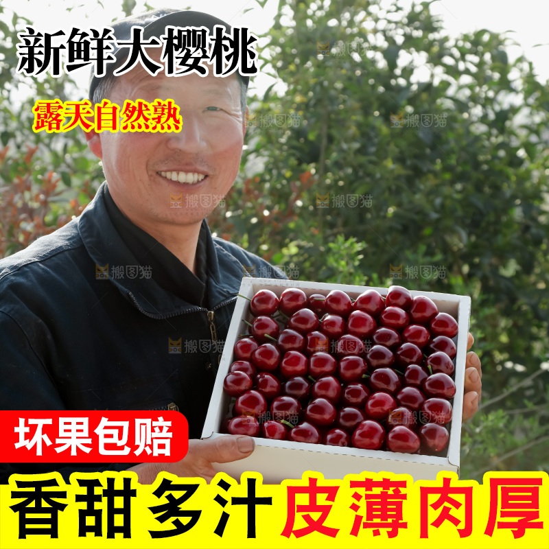 大樱桃
