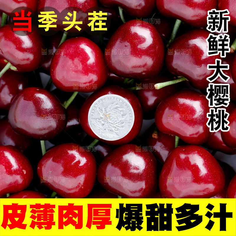 大樱桃