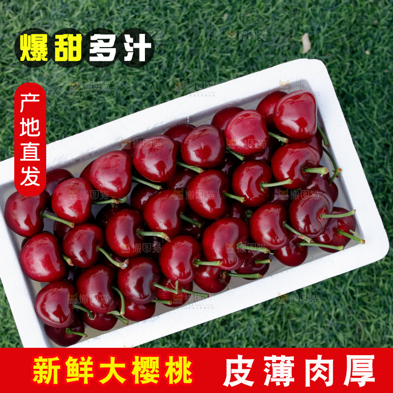 大樱桃