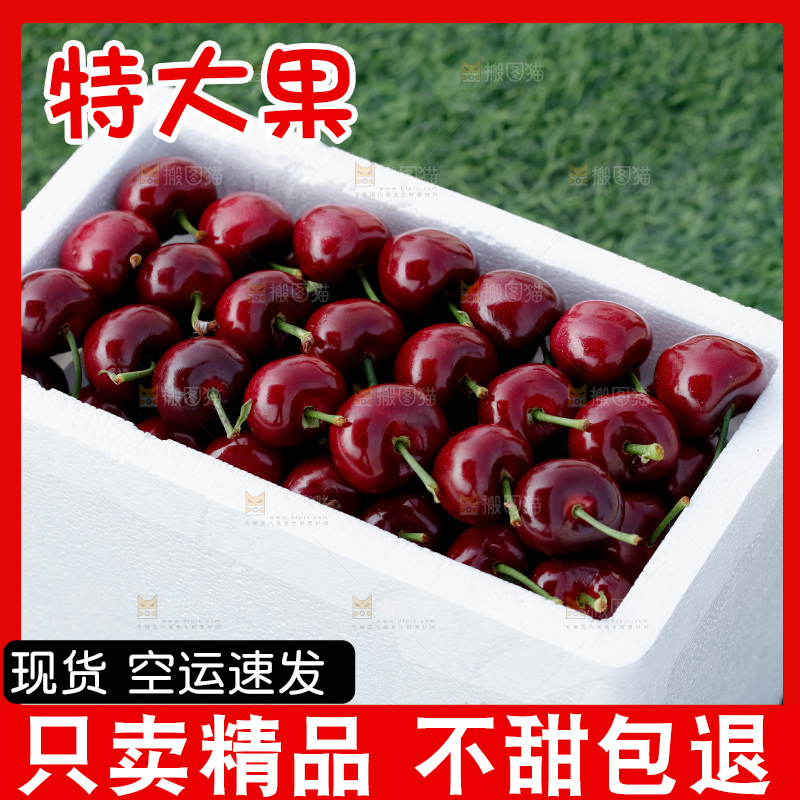 大樱桃