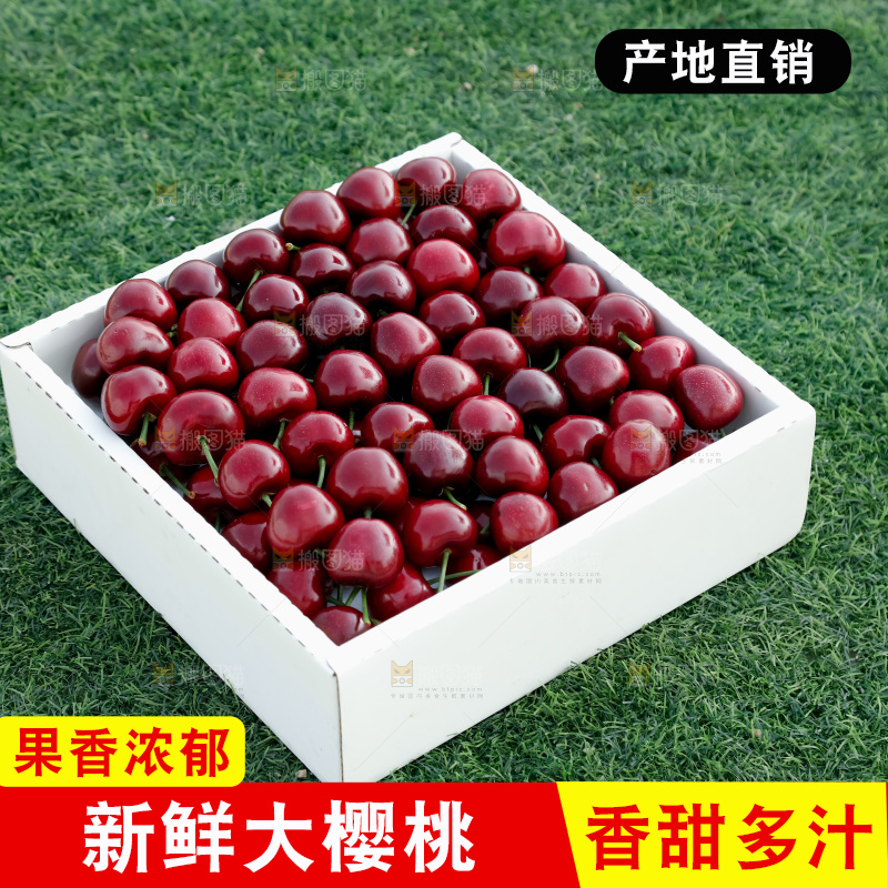 大樱桃