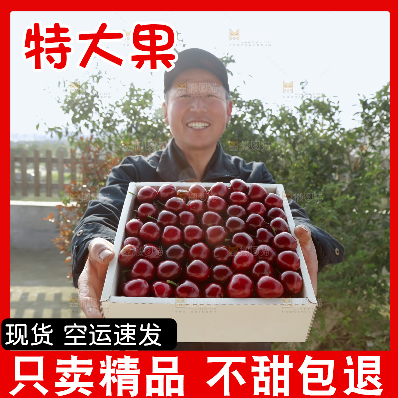 大樱桃