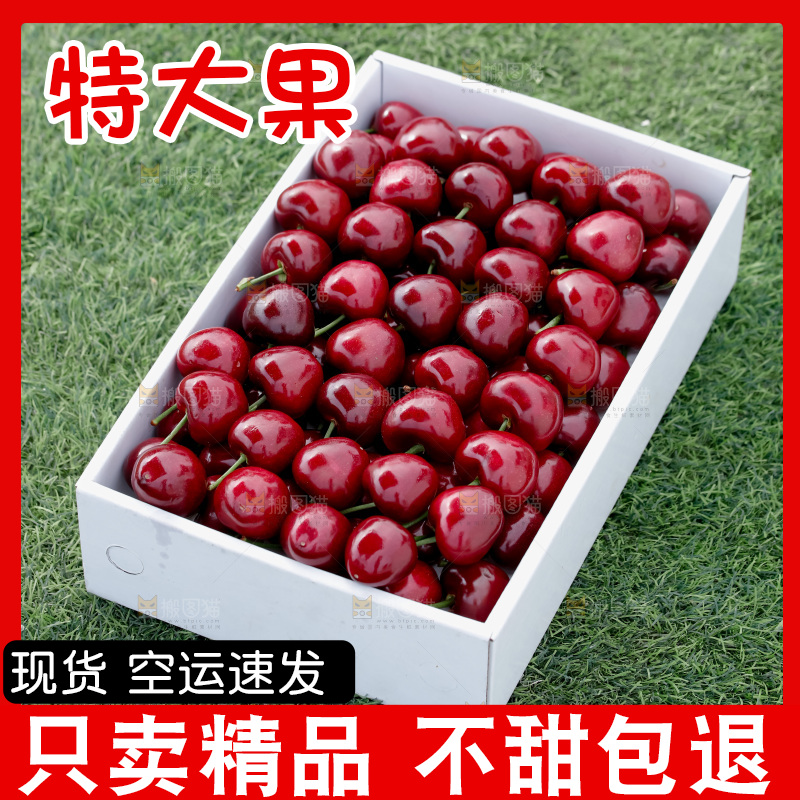 大樱桃