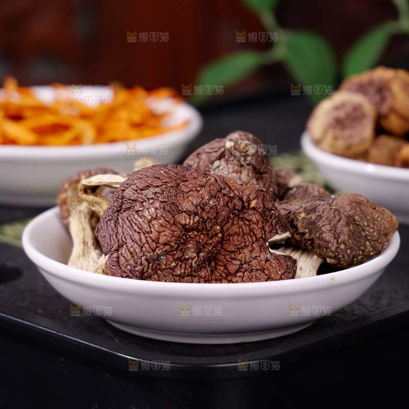 七彩菌菇包