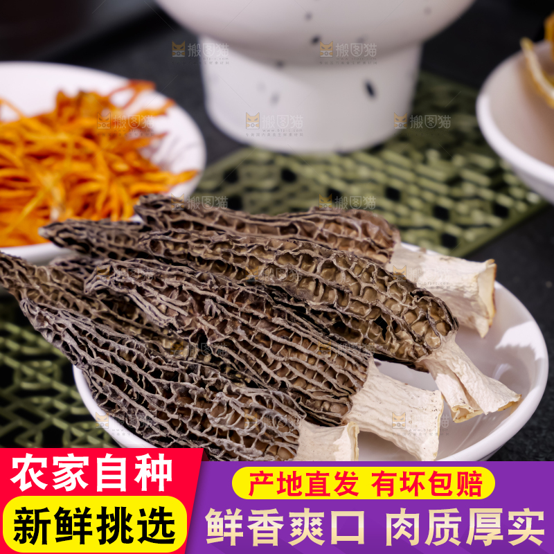 羊肚菌