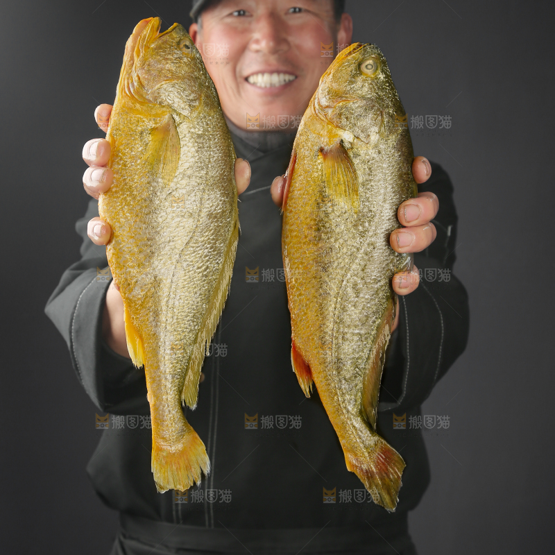 黄花鱼
