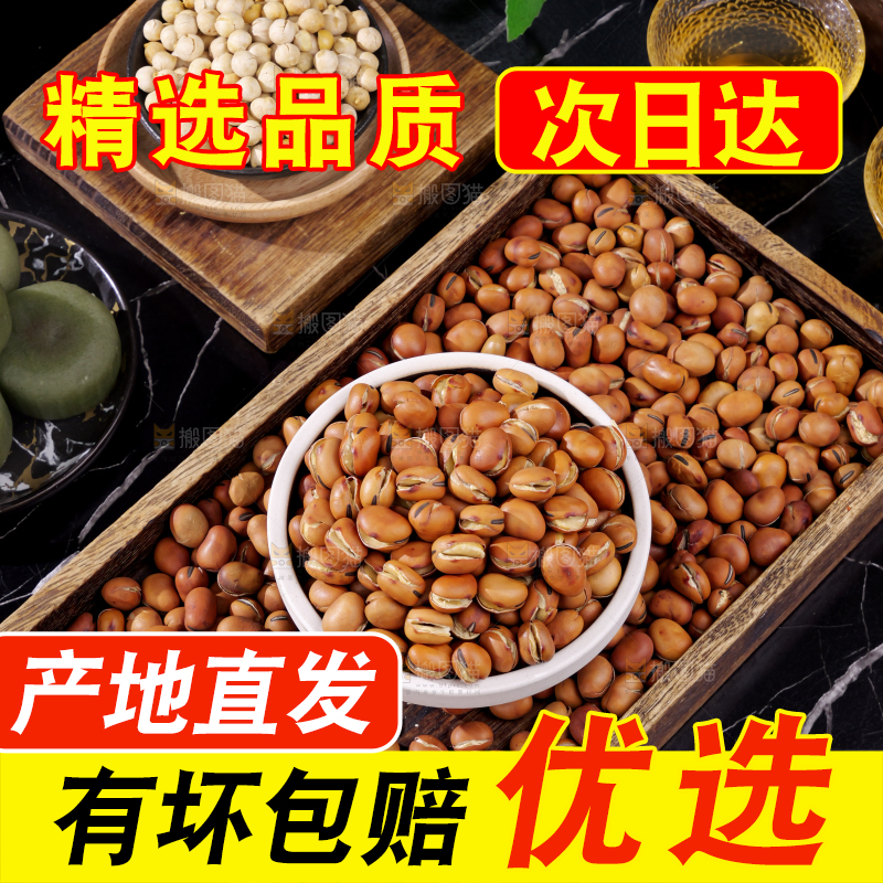 蚕豆