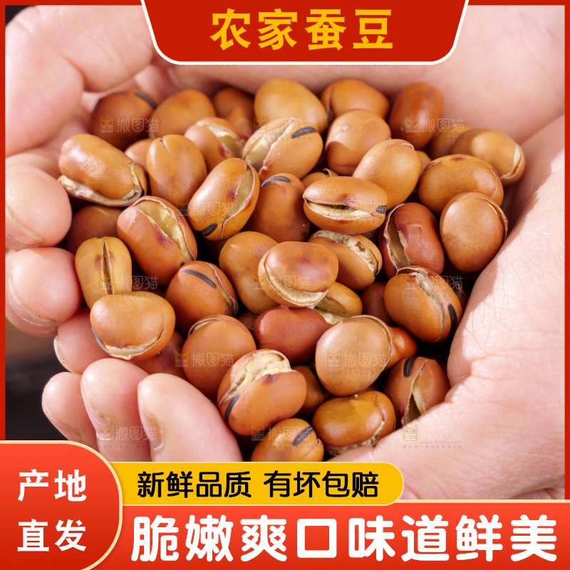 蚕豆