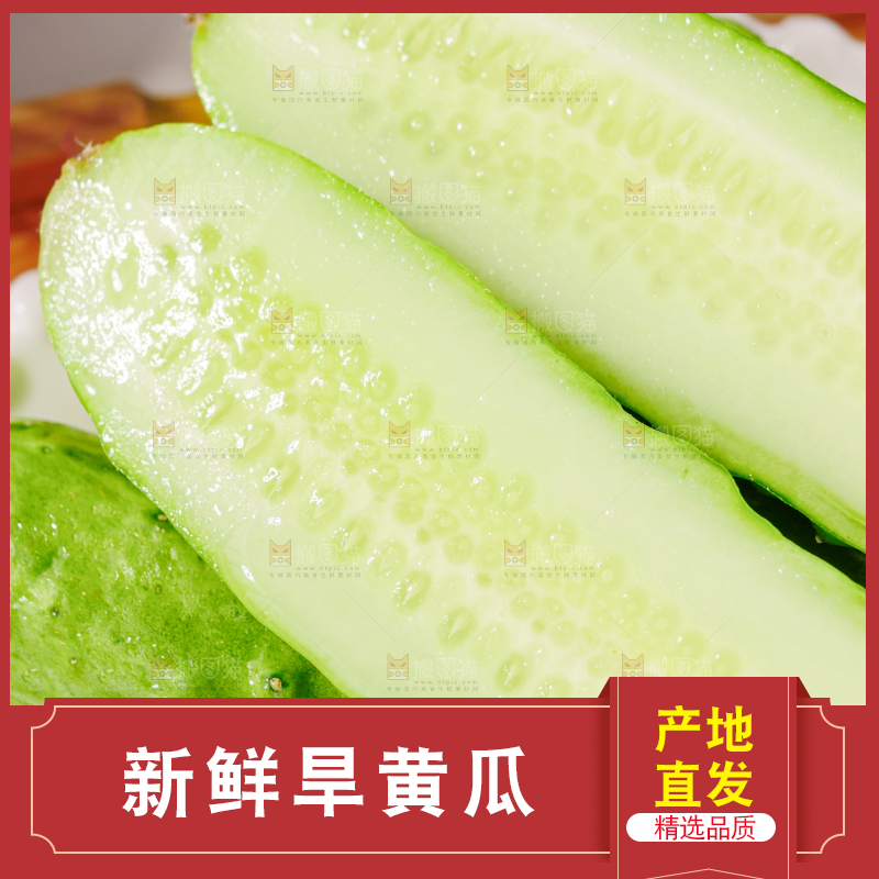 旱黄瓜