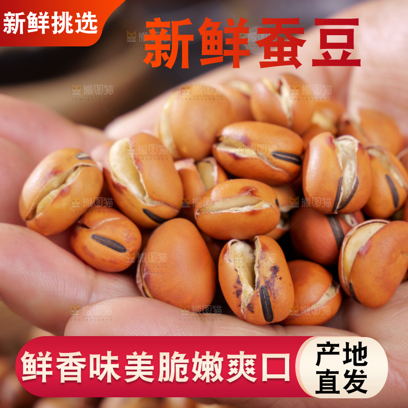 蚕豆