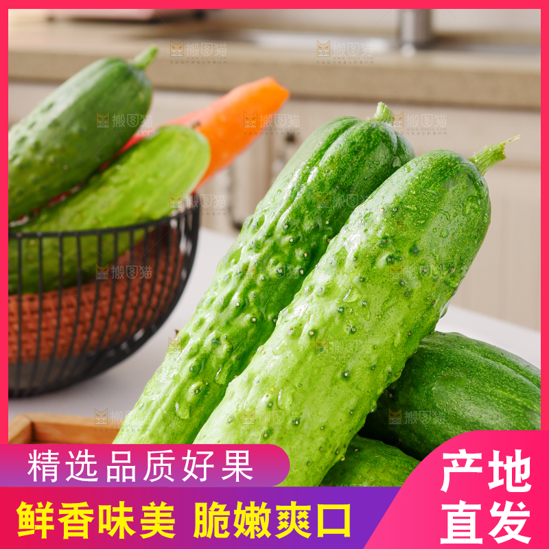 旱黄瓜