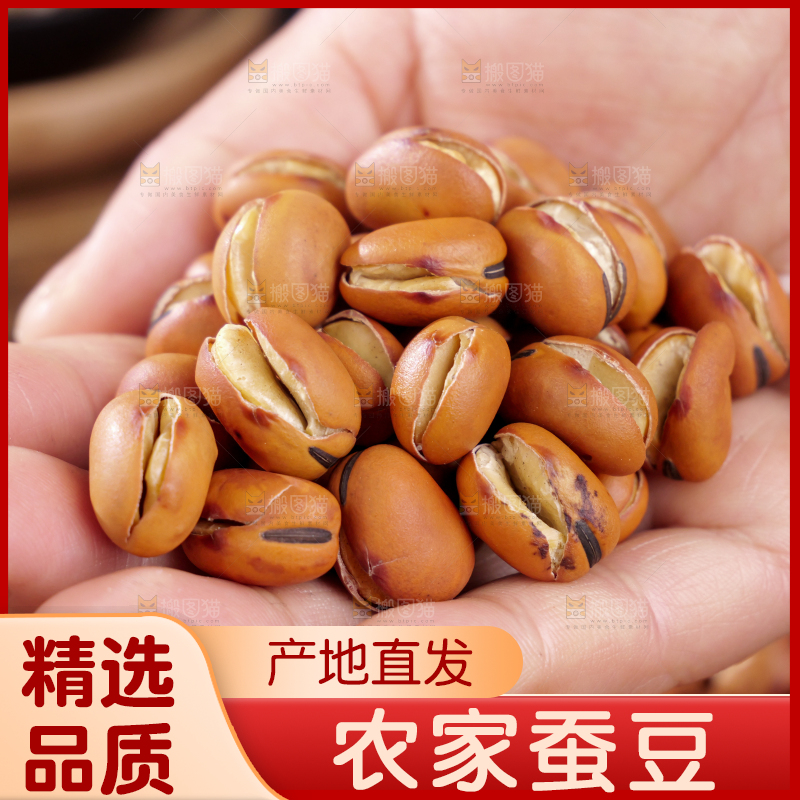 蚕豆