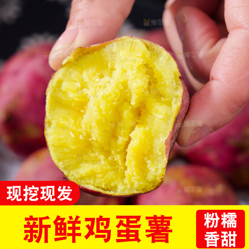 鸡蛋薯