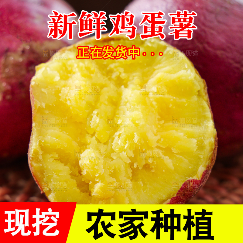 鸡蛋薯