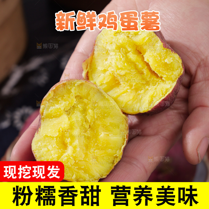 鸡蛋薯