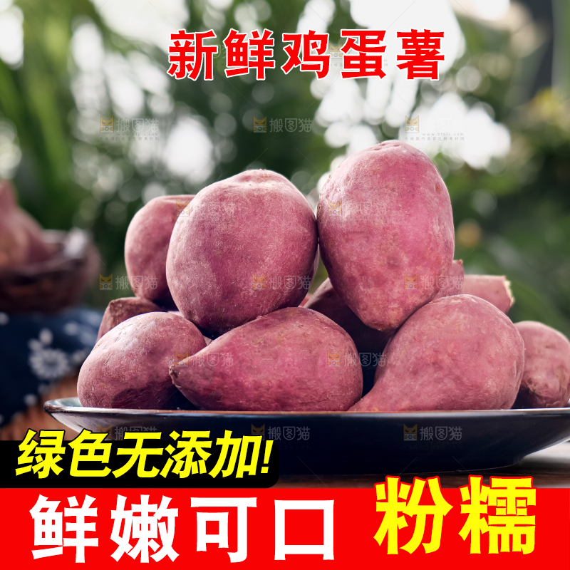 鸡蛋薯