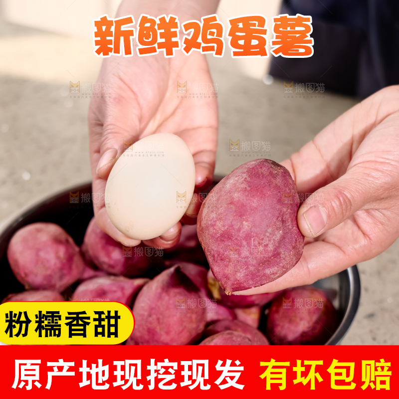 鸡蛋薯