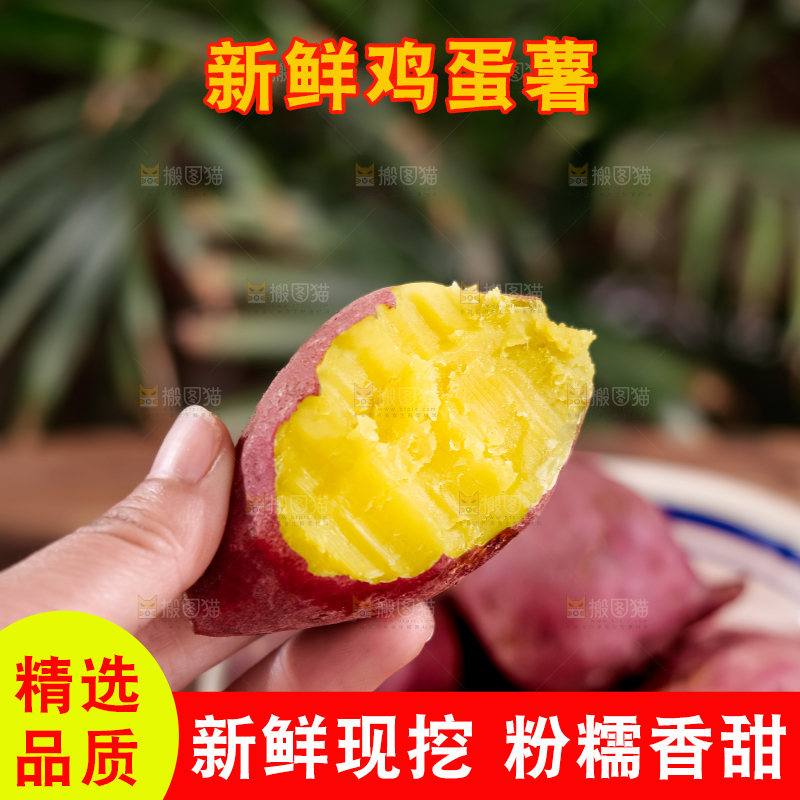 鸡蛋薯