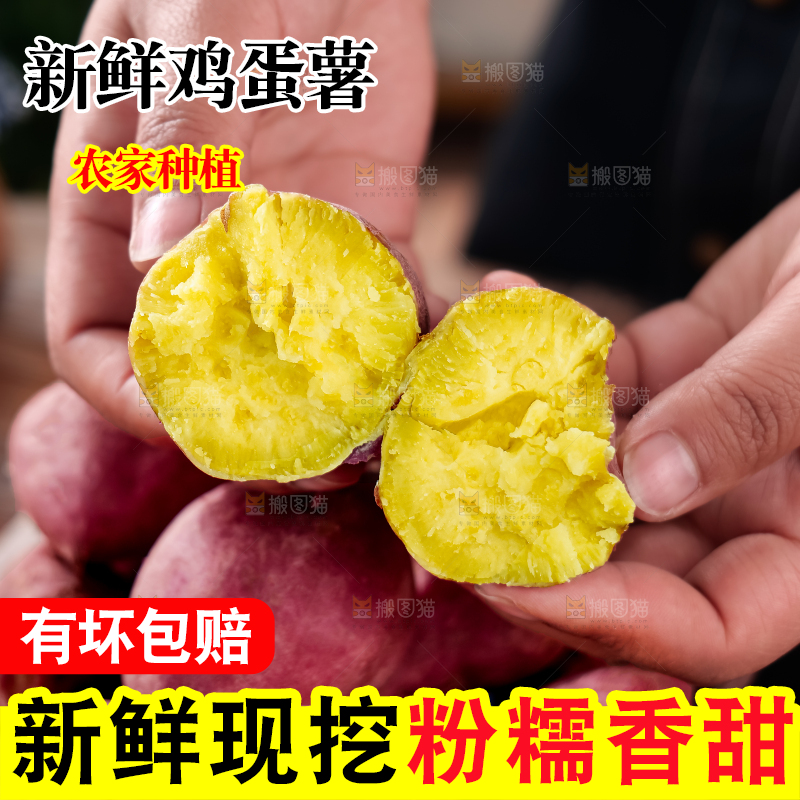 鸡蛋薯
