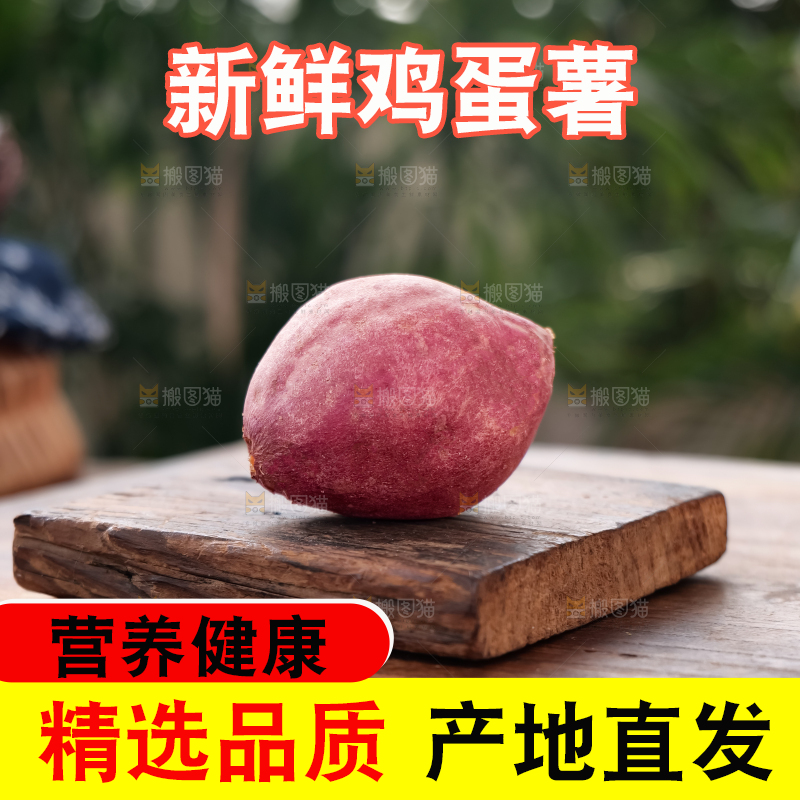 鸡蛋薯