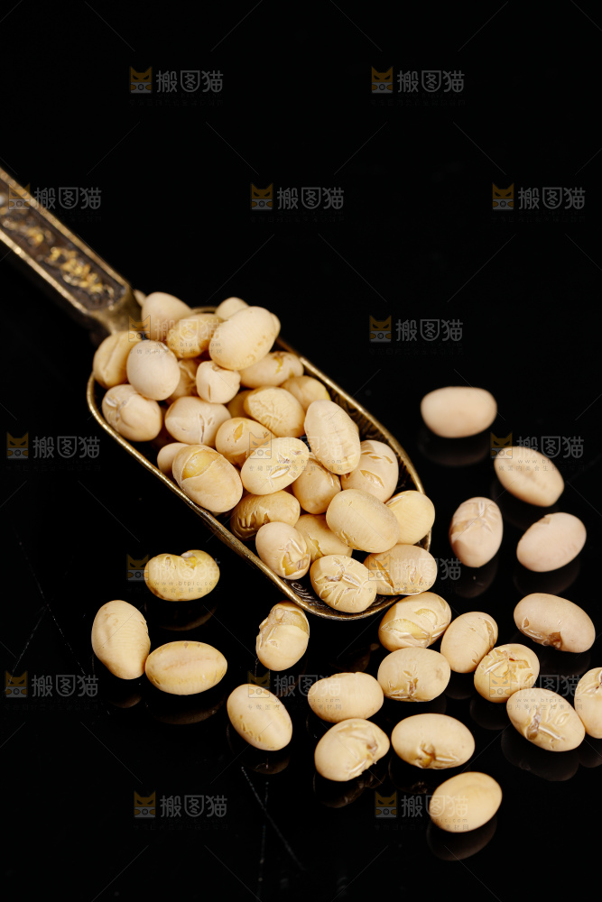 黄豆