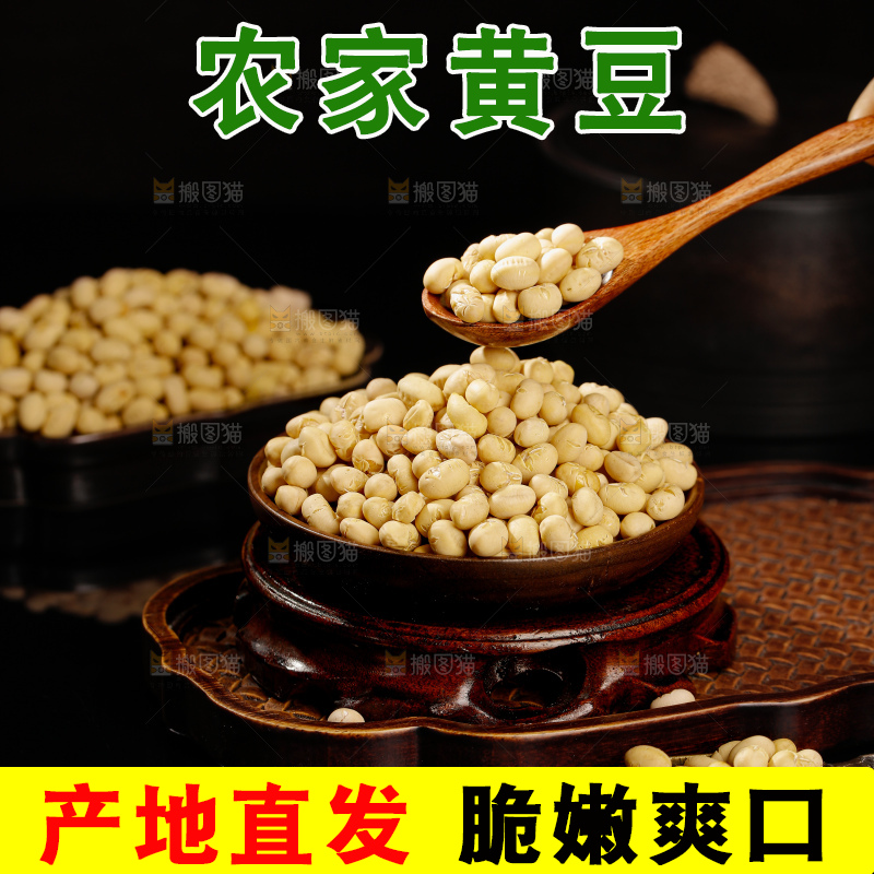 黄豆