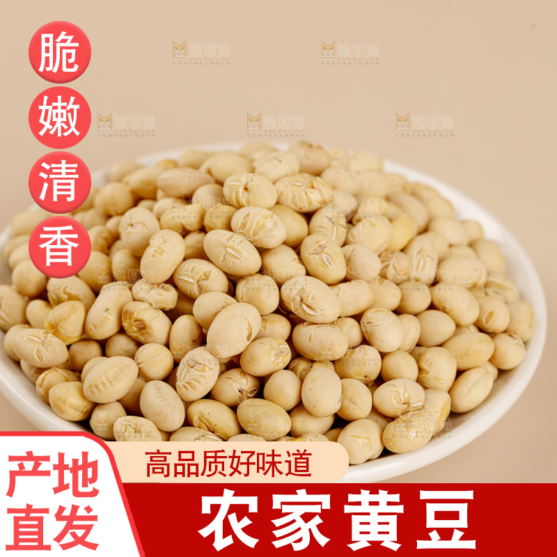 黄豆
