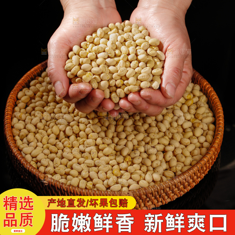 黄豆