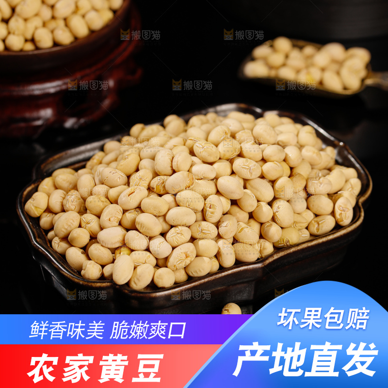 黄豆