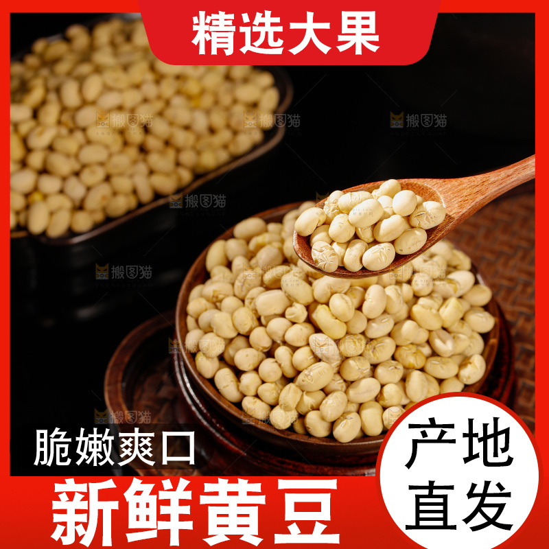 黄豆
