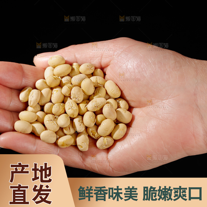 黄豆