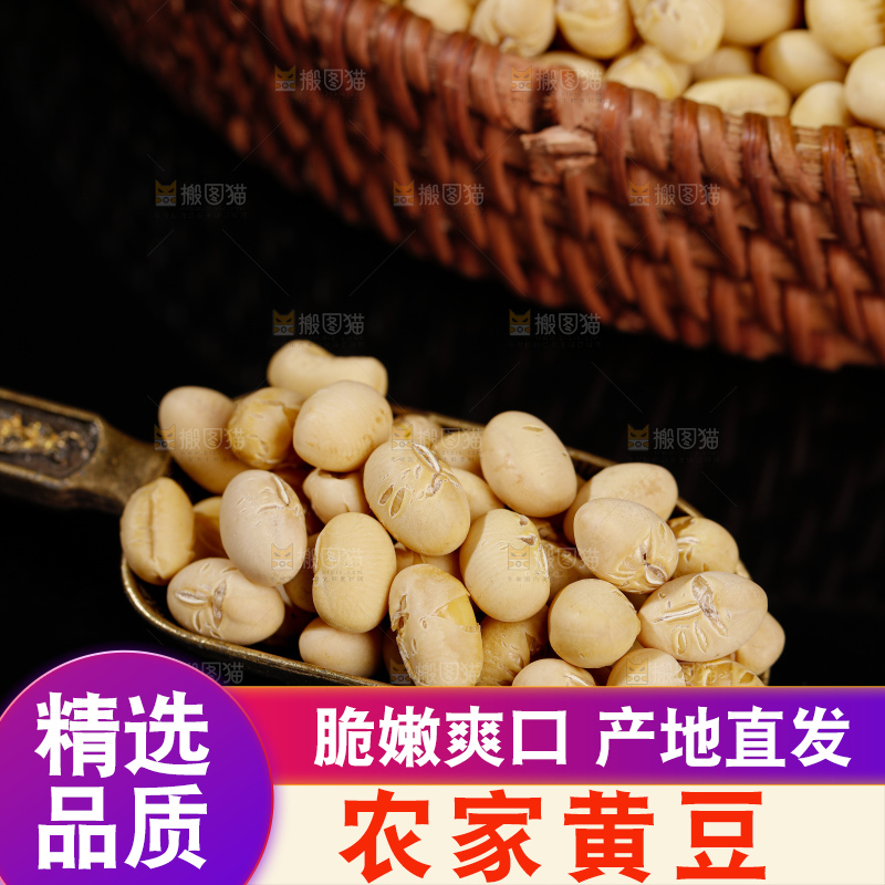 黄豆