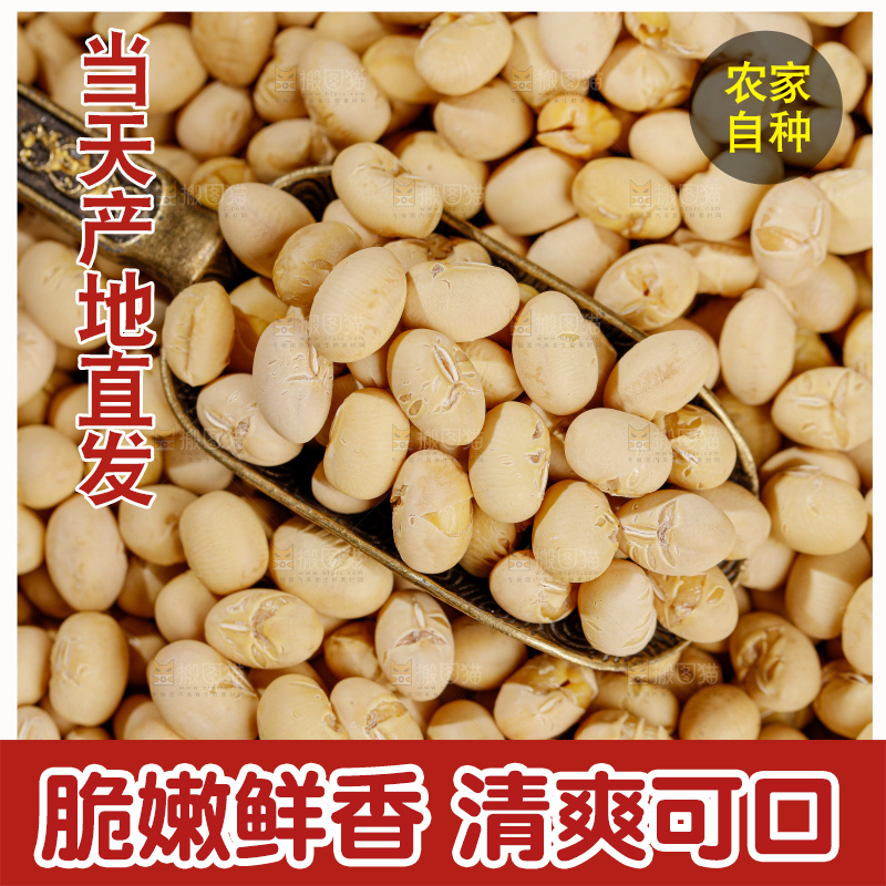 黄豆