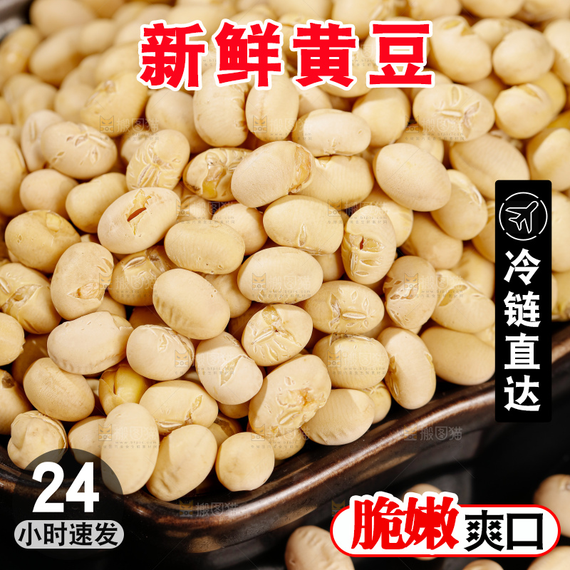 黄豆
