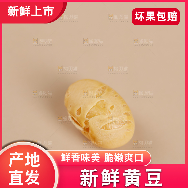 黄豆