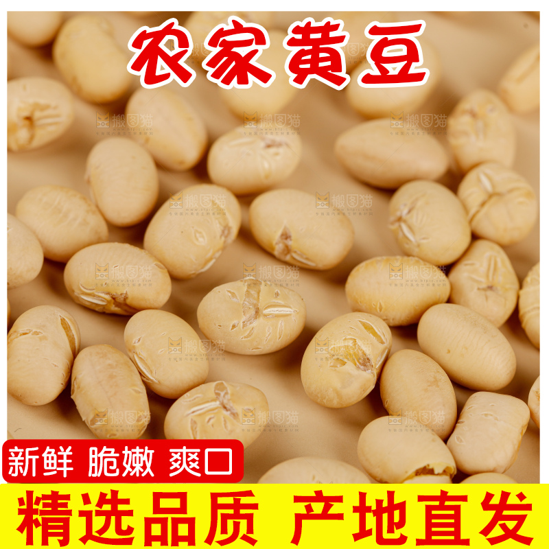 黄豆