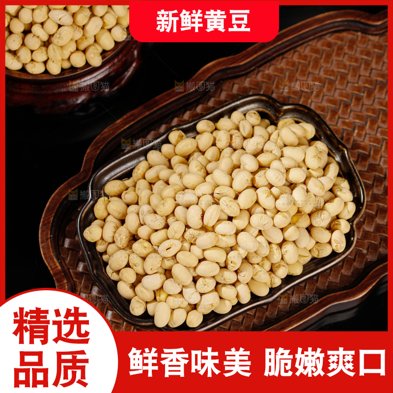 黄豆