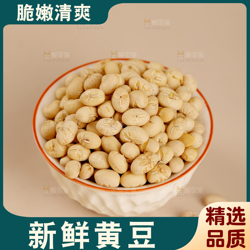黄豆