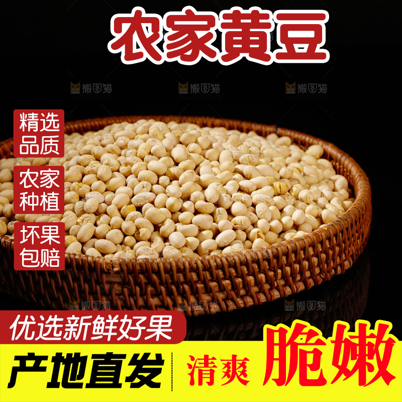 黄豆