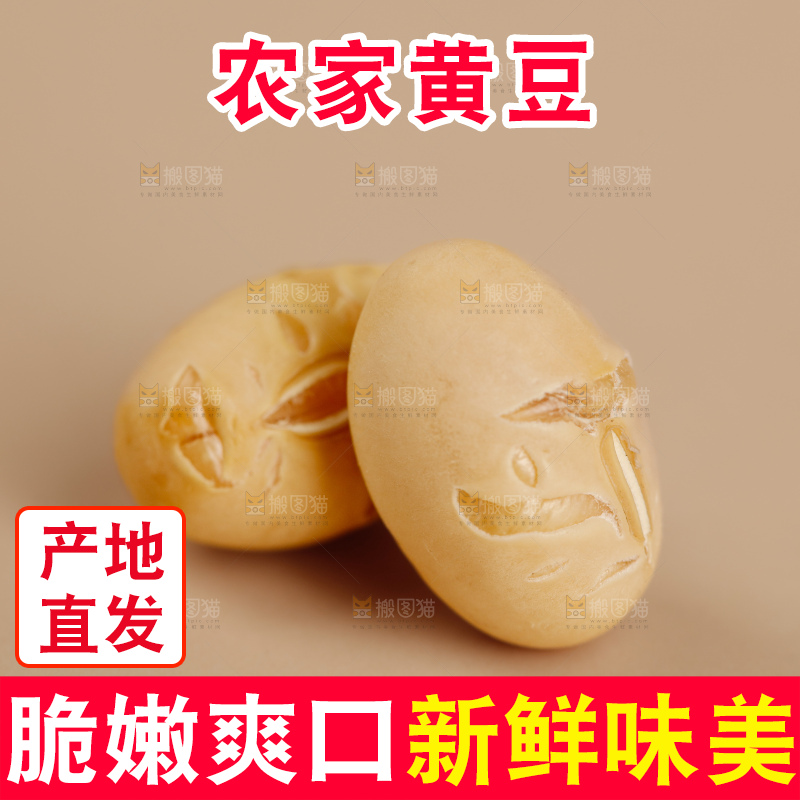 黄豆