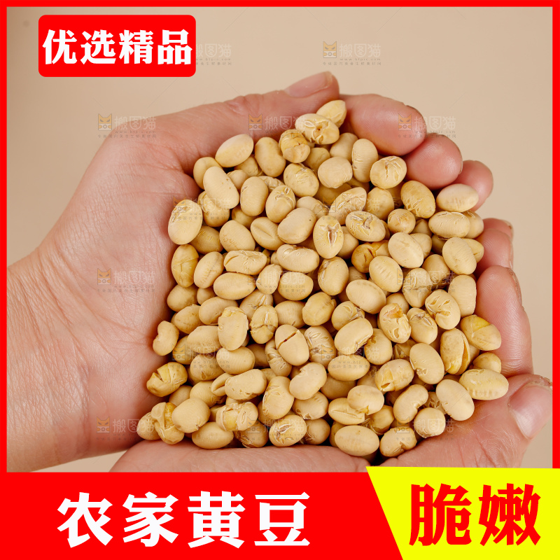 黄豆