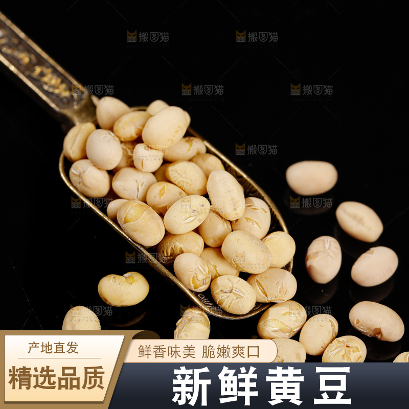 黄豆